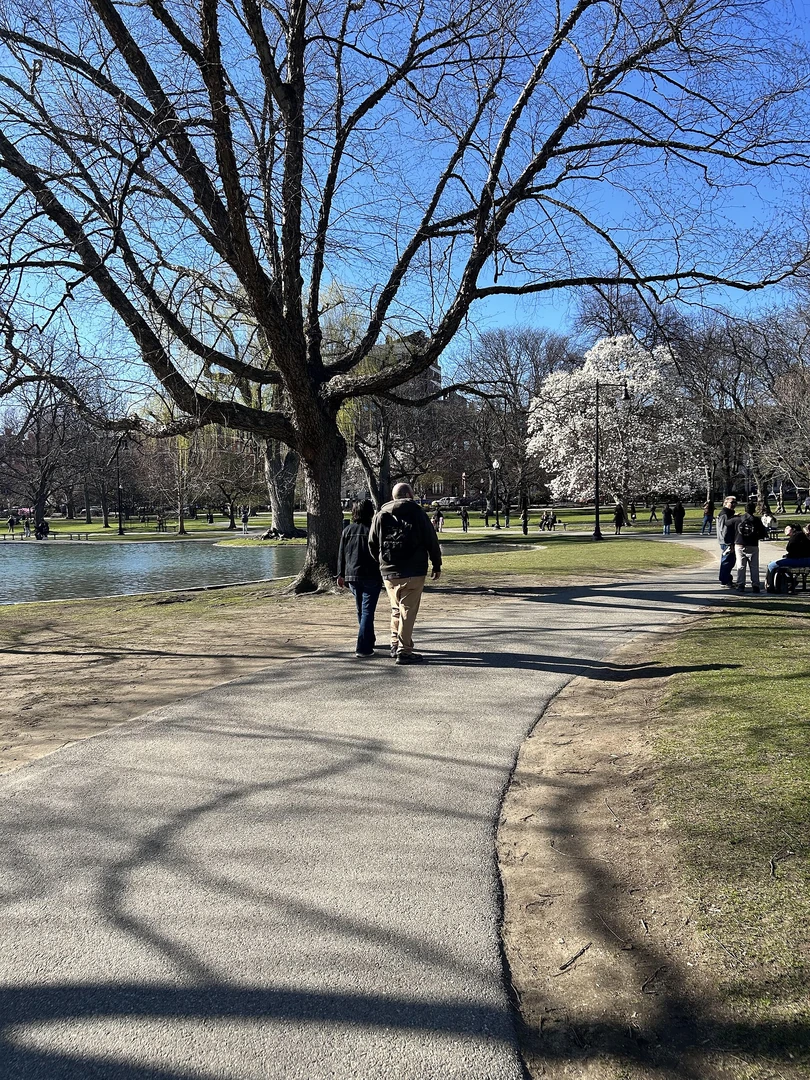 Şehir parkında yürüyüş ve hareket